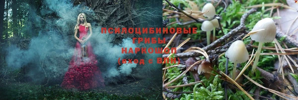 прущие грибы Алексин