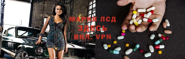 прущие грибы Алексин