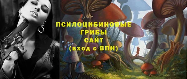 прущие грибы Алексин
