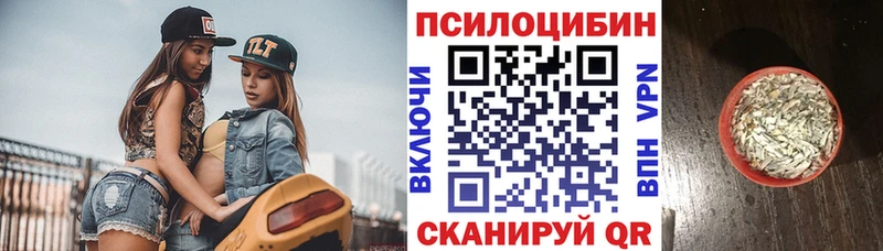 Псилоцибиновые грибы прущие грибы гидра ссылки Завитинск